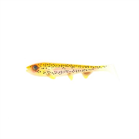 Golden trout 18